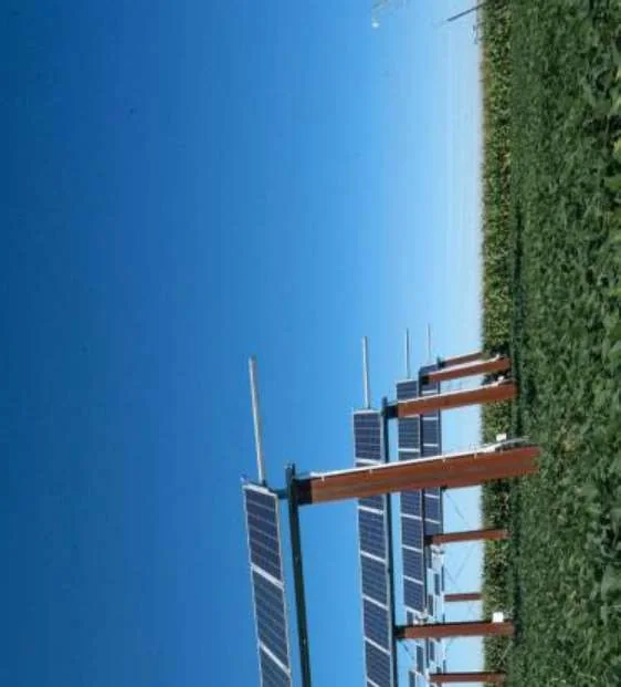 Solar Fencing
